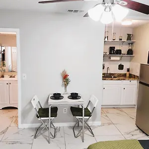 Adorable Mini In Apartment